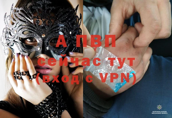 прущие крисы Рославль