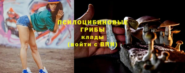 прущие крисы Рославль