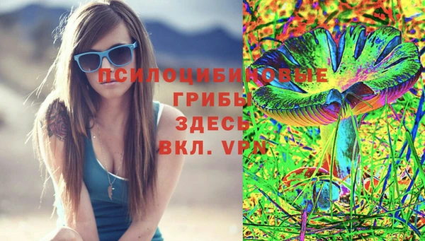 PSILOCYBIN Россошь