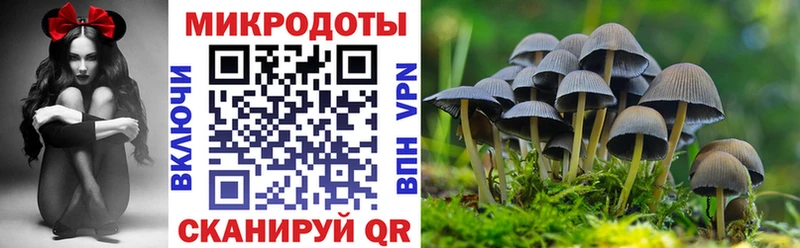 Галлюциногенные грибы Cubensis  Купить где  Светлый 